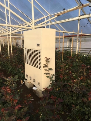 Renew Dehumidifier Warehouse High Capacity Dehumidifier for Factory