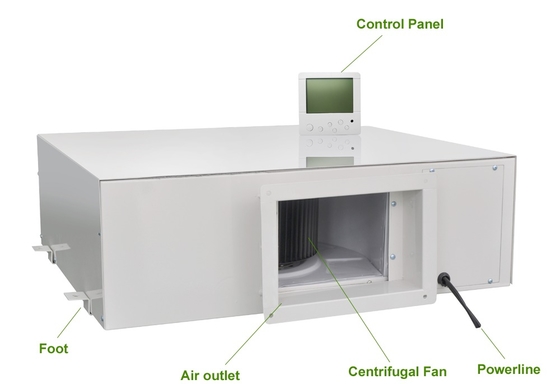 New Arrivals Slim Size 50L/D Greenhouse Basement Warehouse Ceiling Mounted Dehumidifier