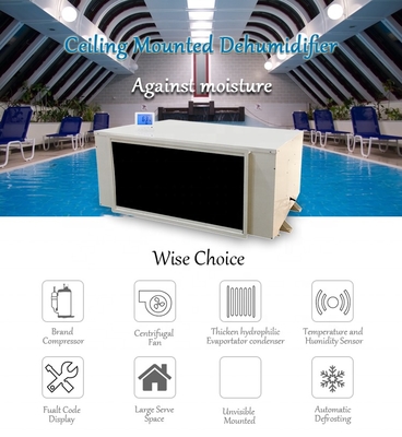480L/D Factory Price Low Temperature Resistant Dehumidifier Big Capacity Greenhouse Laboratory Factory for Industrial