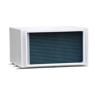 480L/D Factory Price Commercial Dehumidifier Ceiling Air Dryer Dehumidifier Moisture Absorber Cooling Wall Dehumidifier